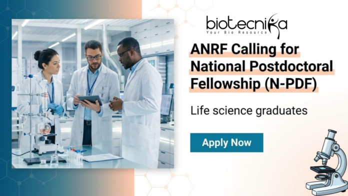 ANRF postdoctoral fellowship National Postdoctoral Fellowship ANRF postdoctoral fellowship for researchers