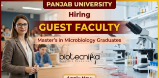 Guest Faculty Jobs at Panjab University in Microbiology Department | Apply Now Guest Faculty Jobs at Panjab University Recruitment 2026 in Microbiology