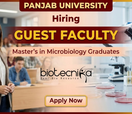 Guest Faculty Jobs at Panjab University in Microbiology Department | Apply Now Guest Faculty Jobs at Panjab University Recruitment 2026 in Microbiology
