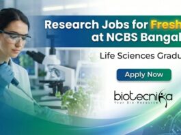 Research Jobs for Freshers at NCBS Recruitment Bangalore – Graduate Trainee & JRF Research Jobs