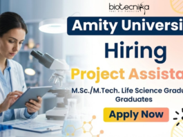 Project Assistant Jobs Amity University Recruitment Research Jobs