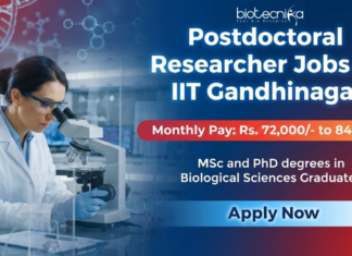 Postdoctoral Researcher Jobs at IIT Gandhinagar | Research Jobs Apply Now Postdoctoral researcher IIT Gandhinagar Recruitment 2026 – Research Jobs in cancer biology
