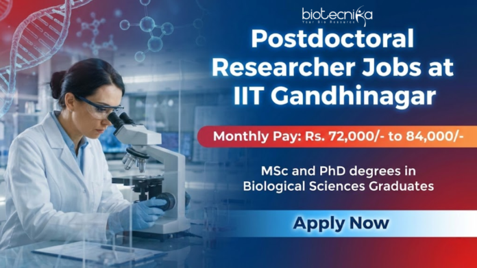 Postdoctoral researcher IIT Gandhinagar Recruitment 2026 – Research Jobs in cancer biology Postdoctoral researcher IIT Gandhinagar Recruitment 2026 – Research Jobs in cancer biology