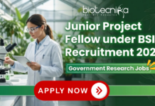 Junior Project Fellow under BSI Recruitment 2026 | Government Research Jobs Junior Project Fellow BSI Recruitment 2026 – Government Research Jobs in NMHS Project