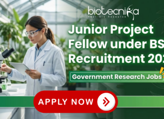 Junior Project Fellow under BSI Recruitment 2026 | Government Research Jobs Junior Project Fellow BSI Recruitment 2026 – Government Research Jobs in NMHS Project