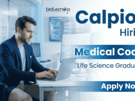 Medical Coder Jobs Calpion Careers life science jobs healthcare coding