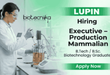 Executive Job at Lupin for Production Mammalian | Biotechnology Jobs | Apply Now Executive Job at Lupin biotechnology jobs Pune production mammalian role