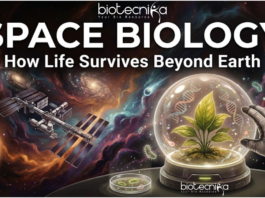 Can Life survive where Gravity fades and Radiation rages? Discover how Space Biology is Reshaping the search for Life Beyond Earth.