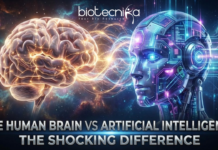 Discover how Artificial Intelligence compares to the Human Brain in scale, energy use, and design; and why the differences truly matter.