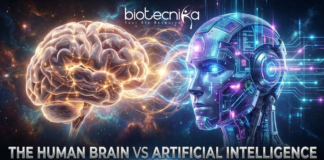 Discover how Artificial Intelligence compares to the Human Brain in scale, energy use, and design; and why the differences truly matter.