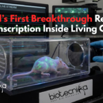World-first mouse model showing glowing transcription activity inside living cells