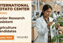 Agriculture Jobs at International Potato Center | Apply Now for Research Assistant Role Apply for Agriculture Jobs at International Potato Center. Junior Research Assistant role in Agra offering Hands-On Research Jobs.