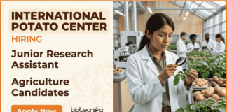 Apply for Agriculture Jobs at International Potato Center. Junior Research Assistant role in Agra offering Hands-On Research Jobs.