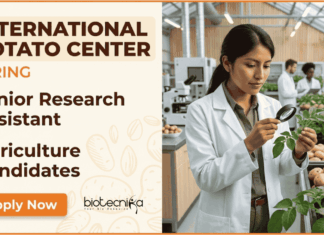 Agriculture Jobs at International Potato Center | Apply Now for Research Assistant Role Apply for Agriculture Jobs at International Potato Center. Junior Research Assistant role in Agra offering Hands-On Research Jobs.