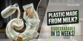 Scientists Develop Milk-Based Plastic that Breaks Down in Soil Within 13 weeks, Offering a Sustainable Solution for Biodegradable Packaging.