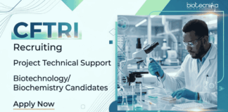 Research Job Vacancy Under CFTRI Recruitment | Apply Now for Project Technical Support Role Explore Biotechnology Jobs with ₹28,000 salary in CSIR project at Mysuru. Apply for Research Jobs under CFTRI Recruitment.