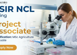 Project Associate Jobs Recruitment at CSIR NCL | Agriculture Sciences Research | Earn upto ₹31,000/- + HRA | Apply Now Project Associate Jobs at CSIR NCL Recruitment in Agriculture Sciences Research