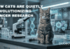 How Cats Are Quietly Revolutionizing Cancer Research Scientists find that pet cats may play a crucial role in advancing cancer research for both animals and humans.