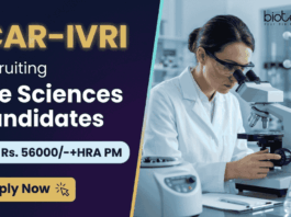 Life Science Research Scientist Jobs at ICAR IVRI | Rs. 56,000/-+HRA PM | Attend the Walk-In Interview ICAR IVRI Recruitment 2026 announced Research Scientist Jobs under ICMR One Health Mission. Apply for Career in Life Sciences.