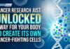 Cancer Research Just Unlocked a Way for Your Body to Create Its Own Cancer-Fighting Cells Cancer research breakthrough: Scientists enable the body to create its own cancer-fighting cells without complex lab procedures