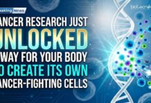 Cancer Research Just Unlocked a Way for Your Body to Create Its Own Cancer-Fighting Cells Cancer research breakthrough: Scientists enable the body to create its own cancer-fighting cells without complex lab procedures