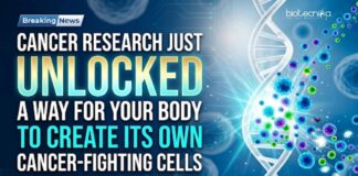 Cancer Research Just Unlocked a Way for Your Body to Create Its Own Cancer-Fighting Cells Cancer research breakthrough: Scientists enable the body to create its own cancer-fighting cells without complex lab procedures