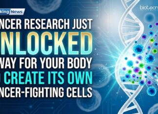 Cancer Research Just Unlocked a Way for Your Body to Create Its Own Cancer-Fighting Cells Cancer research breakthrough: Scientists enable the body to create its own cancer-fighting cells without complex lab procedures