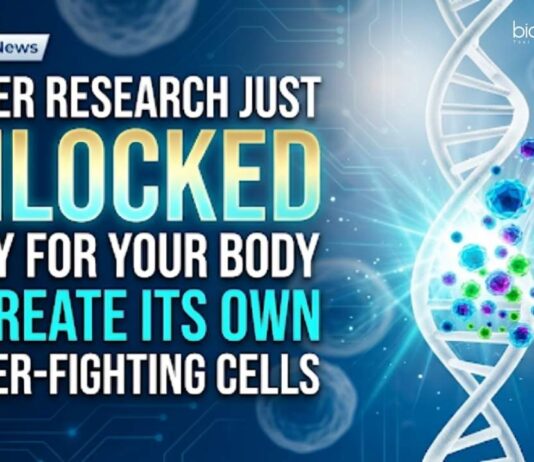 Cancer research breakthrough: Scientists enable the body to create its own cancer-fighting cells without complex lab procedures