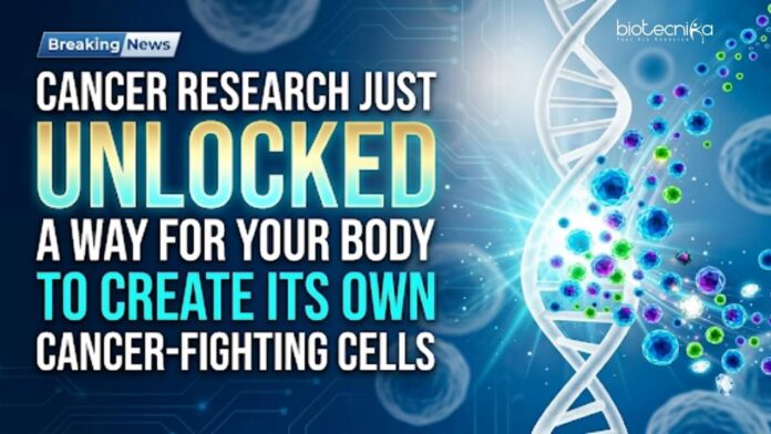Cancer research breakthrough: Scientists enable the body to create its own cancer-fighting cells without complex lab procedures Cancer research breakthrough: Scientists enable the body to create its own cancer-fighting cells without complex lab procedures