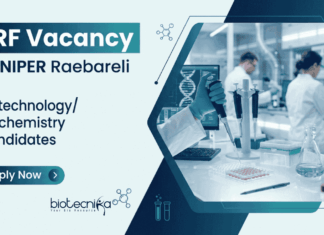JRF Vacancy at NIPER Raebareli | Apply Now for Biotechnology Career Apply for JRF Vacancy at NIPER Raebareli Recruitment. Build your Biotechnology Career with ₹37,000 stipend in Advanced Cancer Research.