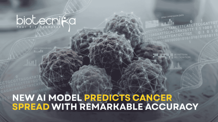 New AI Model Could Help Doctors Predict Cancer Spread With Remarkable Accuracy AI model used in cancer research analyzing gene data to predict cancer metastasis and tumor spread risk.