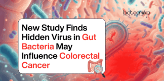 Hidden Virus Found in Gut Bacteria May be Linked to Colorectal Cancer, Offering New Insights Into Microbiome Research and Early Detection.