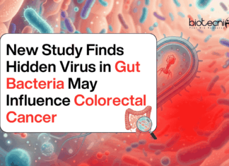 New Study Finds Hidden Virus in Gut Bacteria May Influence Colorectal Cancer Hidden Virus Found in Gut Bacteria May be Linked to Colorectal Cancer, Offering New Insights Into Microbiome Research and Early Detection.