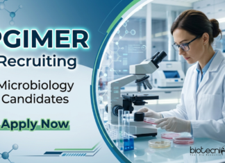 Microbiology Jobs at PGIMER | Apply Now for Project Technical Support Role Apply for Microbiology Jobs at PGIMER Recruitment. Explore Research Jobs in ICMR project. Apply before April 4, 2026.