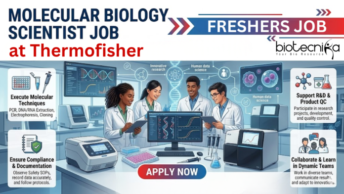 Life Sciences Jobs for Freshers at Thermofisher. Apply Now For Molecular Biology Scientist Role in Bangalore. Life Sciences Jobs for Freshers at Thermofisher. Apply Now For Molecular Biology Scientist Role in Bangalore.