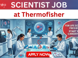 Scientist Job at Thermofisher. Masters in Life Sciences Freshers, Apply Now for Protein Biology Scientist Postion in Bangalore.