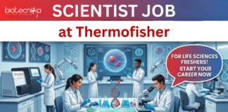 Scientist Job at Thermofisher. Masters in Life Sciences Freshers, Apply Now for Protein Biology Scientist Postion in Bangalore.