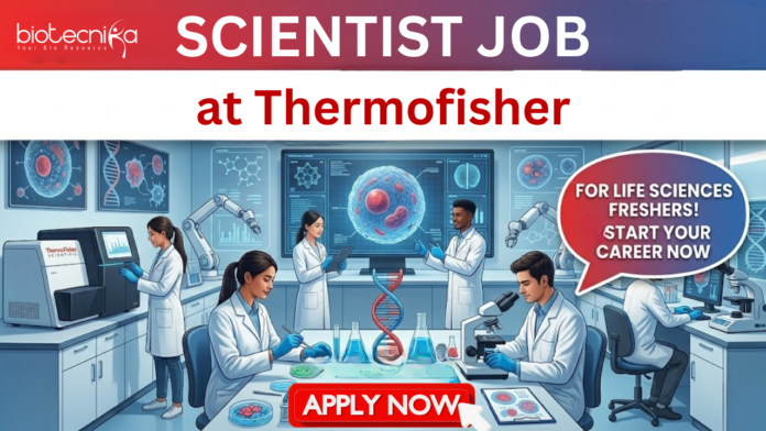 Scientist Job at Thermofisher. Masters in Life Sciences Freshers, Apply Now for Protein Biology Scientist Postion in Bangalore. Scientist Job at Thermofisher. Masters in Life Sciences Freshers, Apply Now for Protein Biology Scientist Postion in Bangalore.