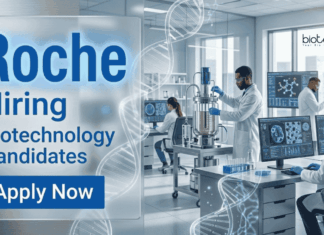 Biotechnology Jobs at Roche | Apply Now for Analyst Position Explore Biotechnology Jobs at Roche, Apply for Analyst roles and Build your Career in Healthcare Analytics and Pharmaceutical Forecasting.