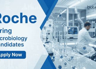 Latest Microbiology Jobs at Roche | PhD Candidates Apply Now Apply for Microbiology Jobs under Roche Career, Mumbai. Explore Medical Affairs Jobs for Professionals in Diagnostics & Infectious Diseases.