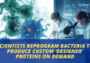 Scientists Reprogram Bacteria to Produce Custom ‘Designer’ Proteins on Demand Scientists Develop a New Method to Deliver Artificial Amino Acids into Cells, Enabling Bacteria to Produce Designer Proteins.