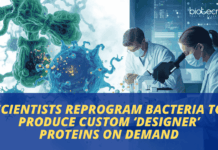 Scientists Develop a New Method to Deliver Artificial Amino Acids into Cells, Enabling Bacteria to Produce Designer Proteins.