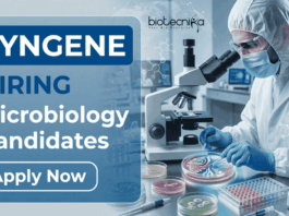 Microbiology Job Opening at Syngene | Apply Now for Analyst Jobs Apply for Microbiology Jobs under Syngene Career. QC Analyst Jobs for BSc/MSc Candidates in Pharma Quality Control and Lab Testing Roles.