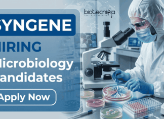 Microbiology Job Opening at Syngene | Apply Now for Analyst Jobs Apply for Microbiology Jobs under Syngene Career. QC Analyst Jobs for BSc/MSc Candidates in Pharma Quality Control and Lab Testing Roles.
