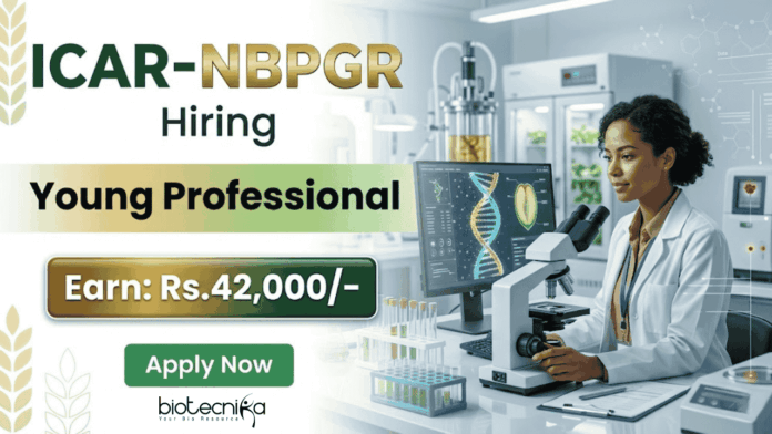Young Professional opportunity in research jobs under ICAR NBPGR recruitment for agriculture and plant science careers. Young Professional opportunity in research jobs under ICAR NBPGR recruitment for agriculture and plant science careers.