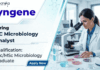 Syngene Careers hiring for Microbiology Jobs | Apply now for Analyst Jobs in Bangalore