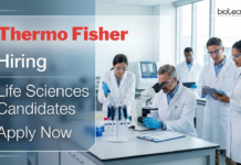 Thermo Fisher is Hiring Bachelor’s Degree Candidates | Apply Now for Life Sciences Job Apply for Life Sciences Jobs at Thermo Fisher. Explore Computer System Validation Jobs in Hyderabad with Global Exposure. Apply Now.