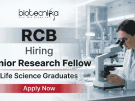 Research Jobs – RCB Recruitment 2026 SRF Vacancy | Life Science Graduates Apply Now Research Jobs RCB Recruitment 2026 SRF Vacancy for Life Science candidates