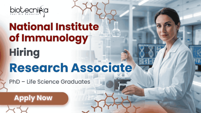 Research Associate Jobs at NII Recruitment 2026 Life Science Jobs Delhi Research Associate Jobs at NII Recruitment 2026 Life Science Jobs Delhi