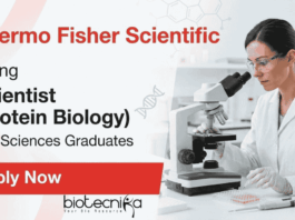 Thermo Fisher Scientific Jobs for Life Science Students – Scientific Jobs in Biotechnology